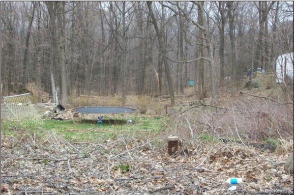 48 PARADISE TRL, MONROE, NY 10950 - Image 73087ce2f4394fff72ef429f2bdfcda3/3328658329