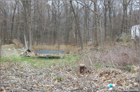 Vacant Land For Sale - 48 Paradise Trail<br/> Blooming Grove, NY 10914