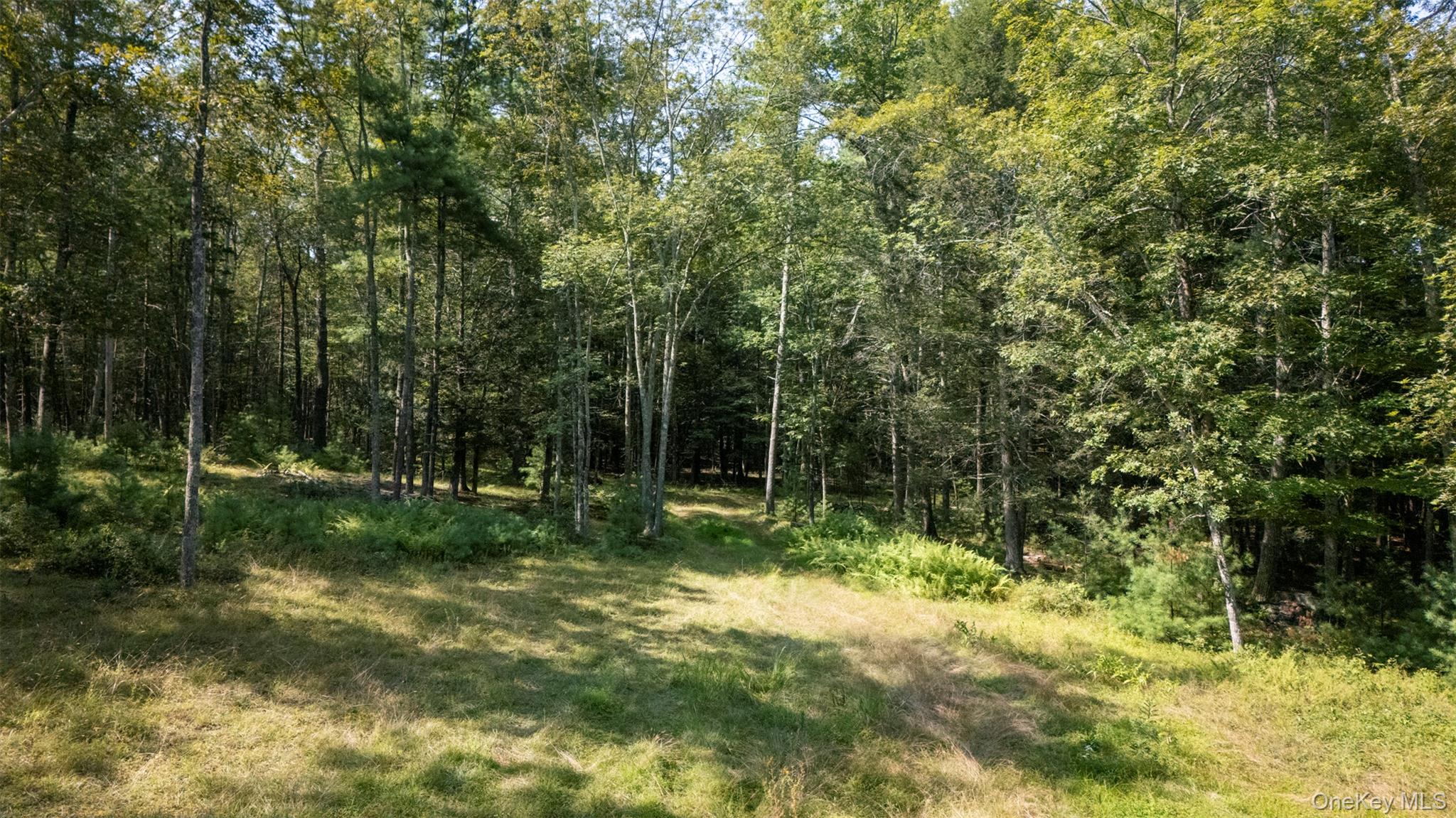 Saugerties, New York 12477, United States, ,Land,Active,189519