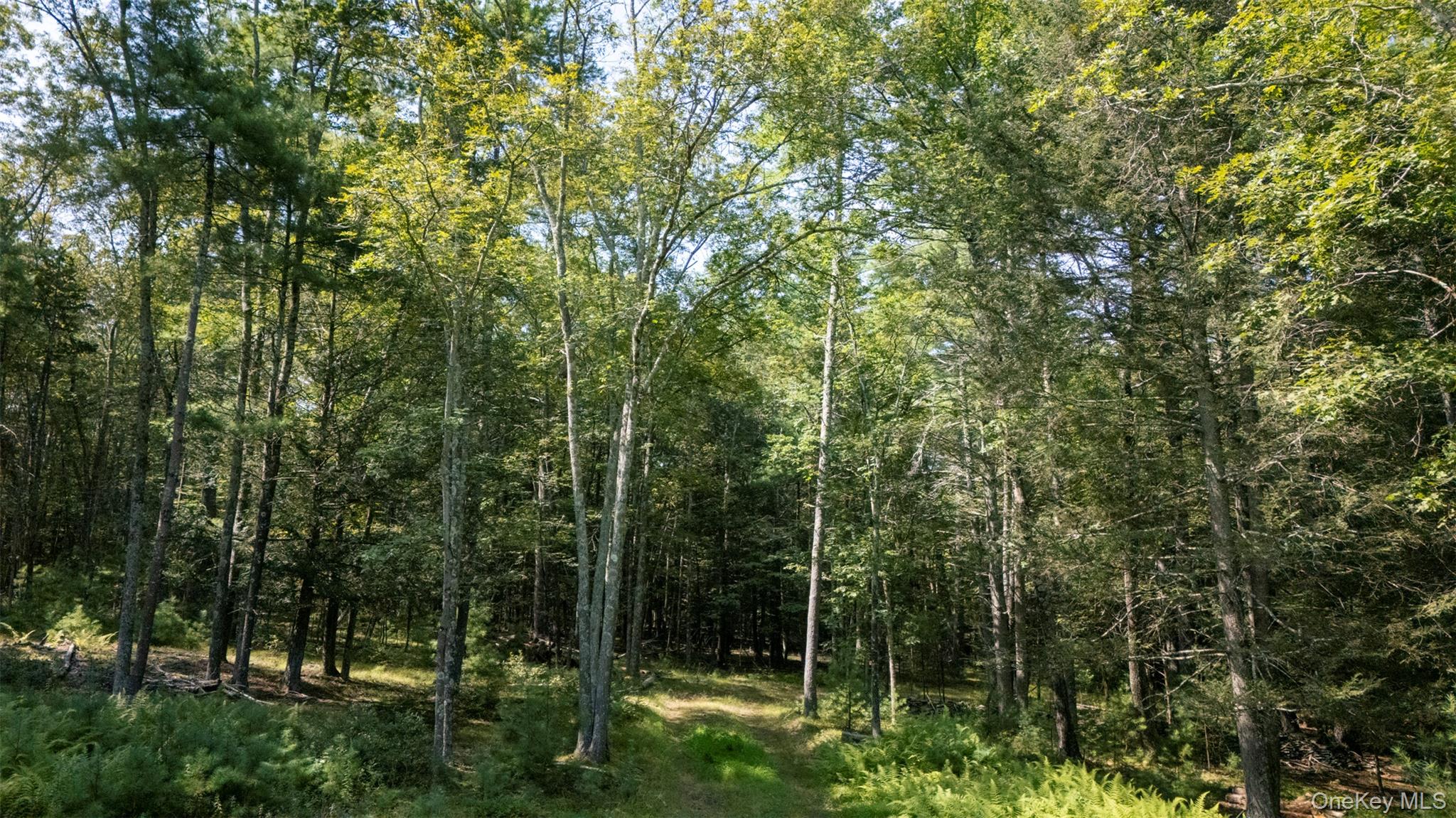 Saugerties, New York 12477, United States, ,Land,Active,189519