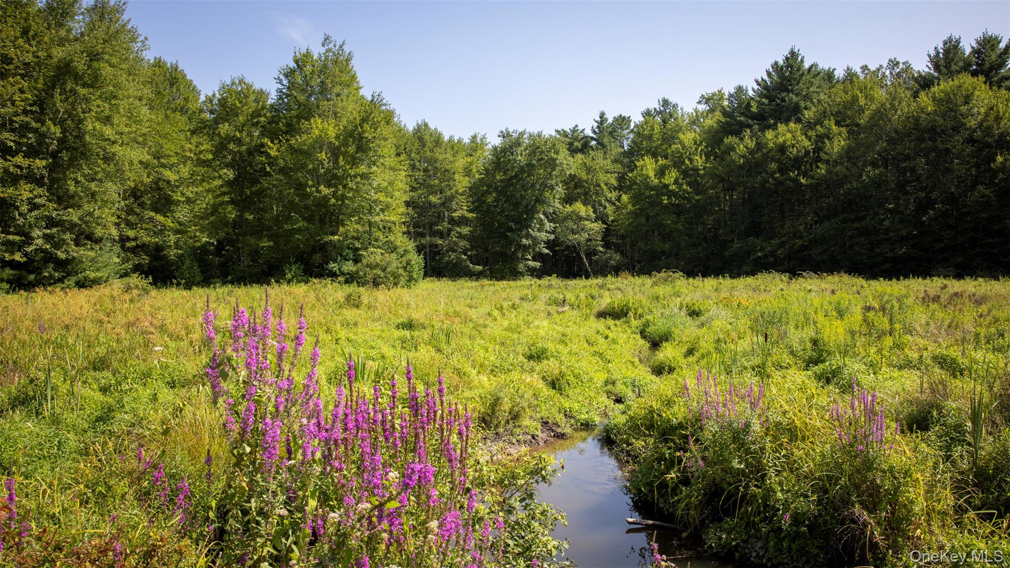 Saugerties, New York 12477, United States, ,Land,Active,189519