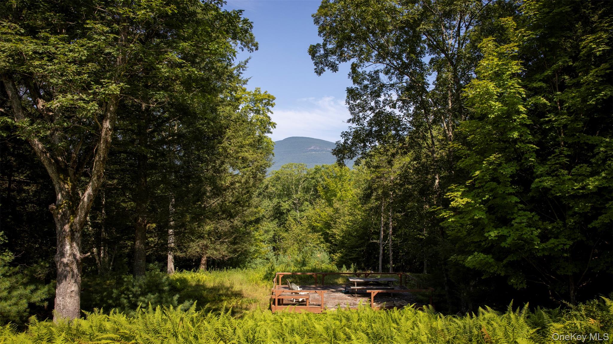 Saugerties, New York 12477, United States, ,Land,Active,189519