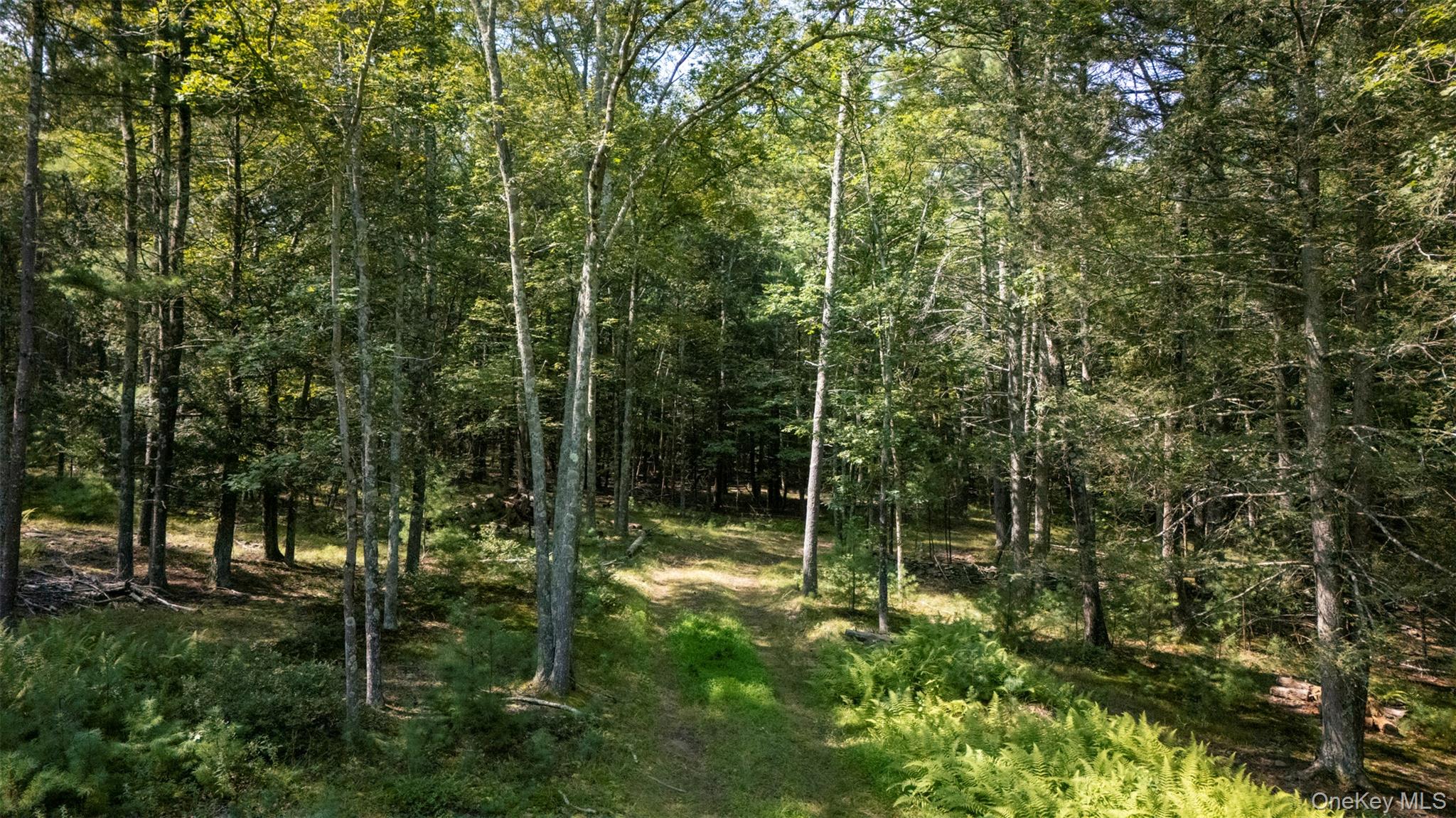 Saugerties, New York 12477, United States, ,Land,Active,189519