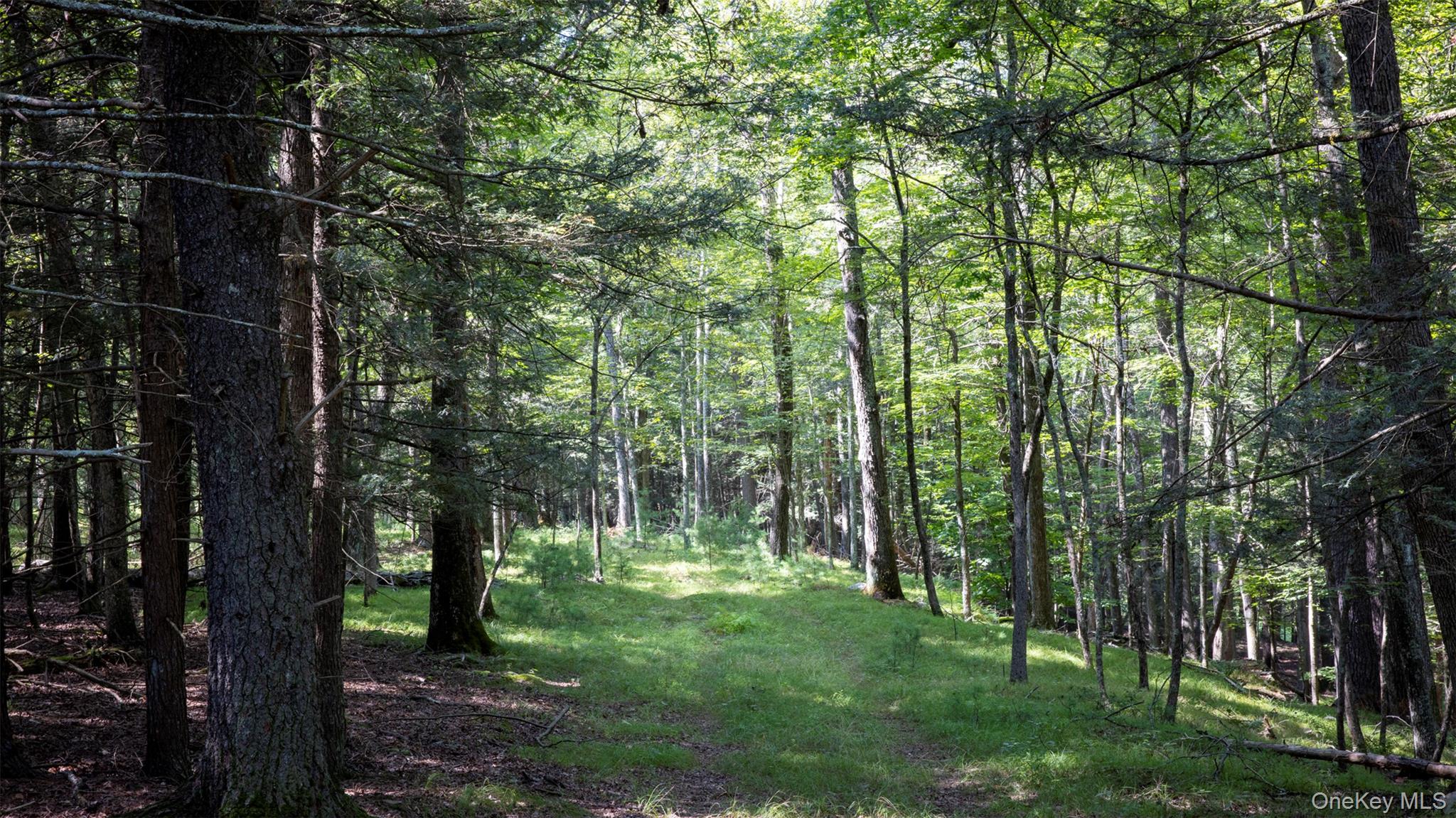 Saugerties, New York 12477, United States, ,Land,Active,189519