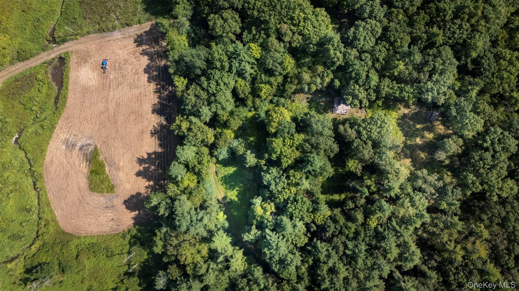 Saugerties, New York 12477, United States, ,Land,Active,189519