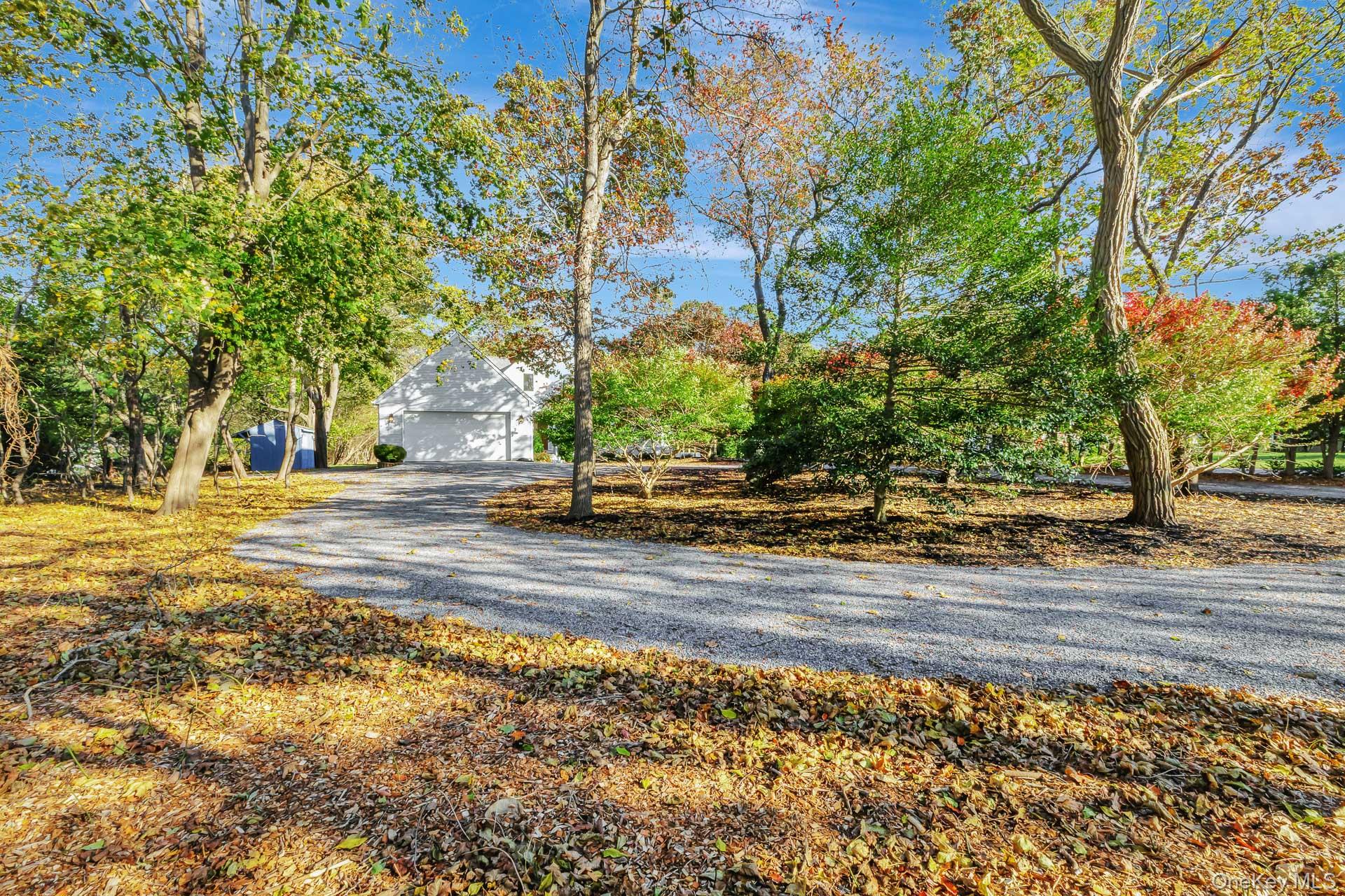 47 Belleview Avenue