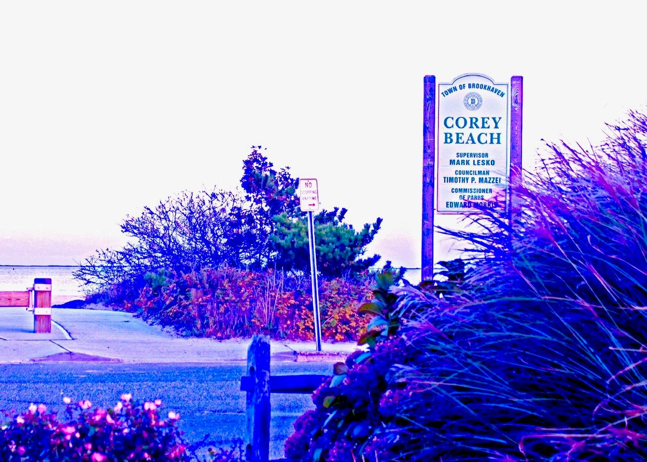 20 Kuebler Street, Blue Point, New York image 43