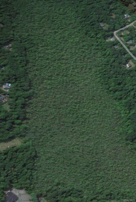 2396 ROUTE 52, HOPEWELL JUNCTION, NY 12533 - Image 7397d05c5fb2ebaed509a248eaa184e6/3637063570