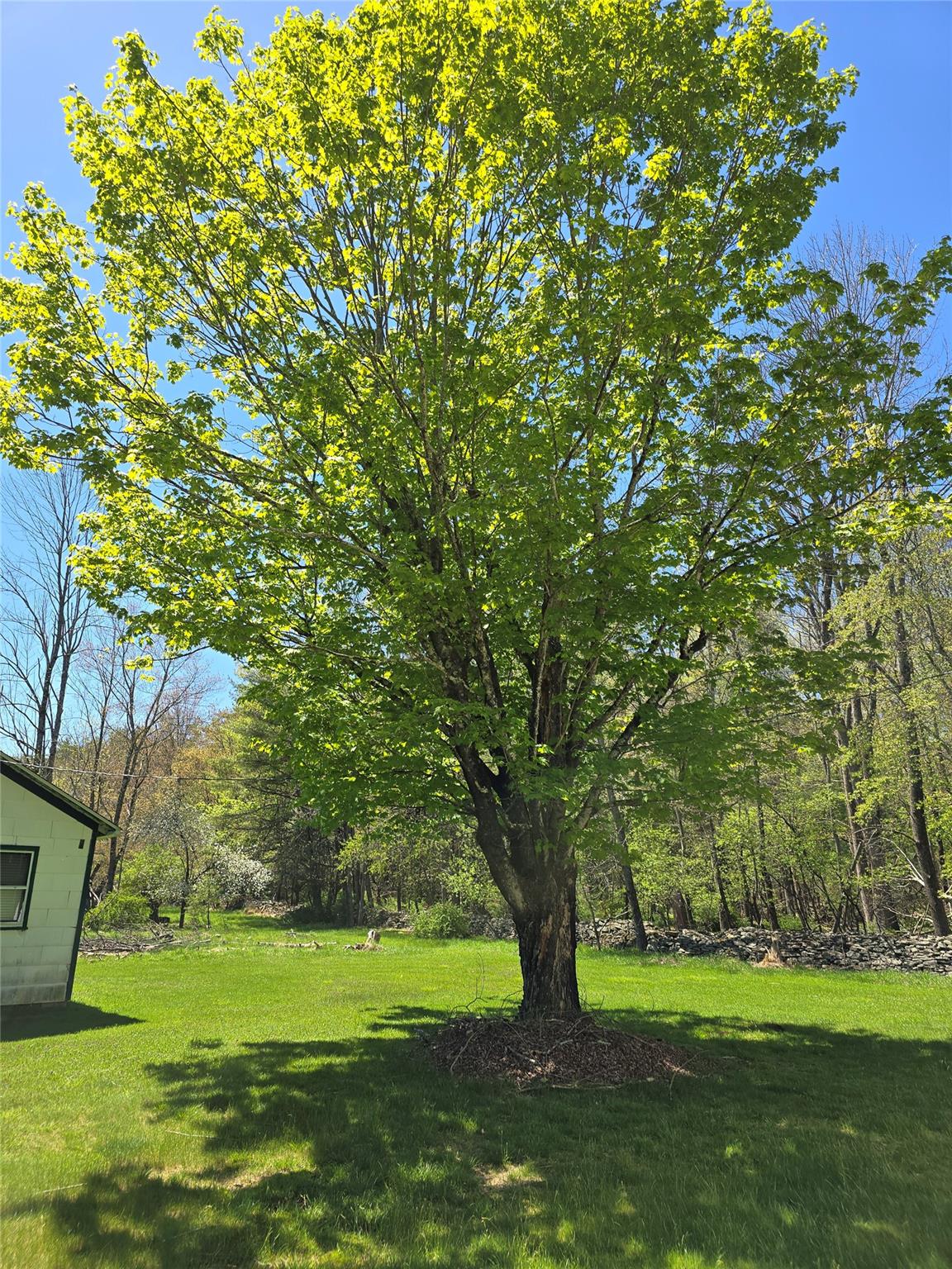 24 Washington Lake Road