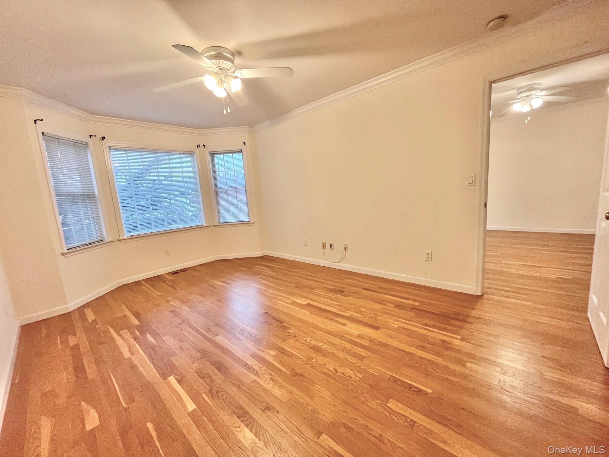 153 Montgomery Avenue B