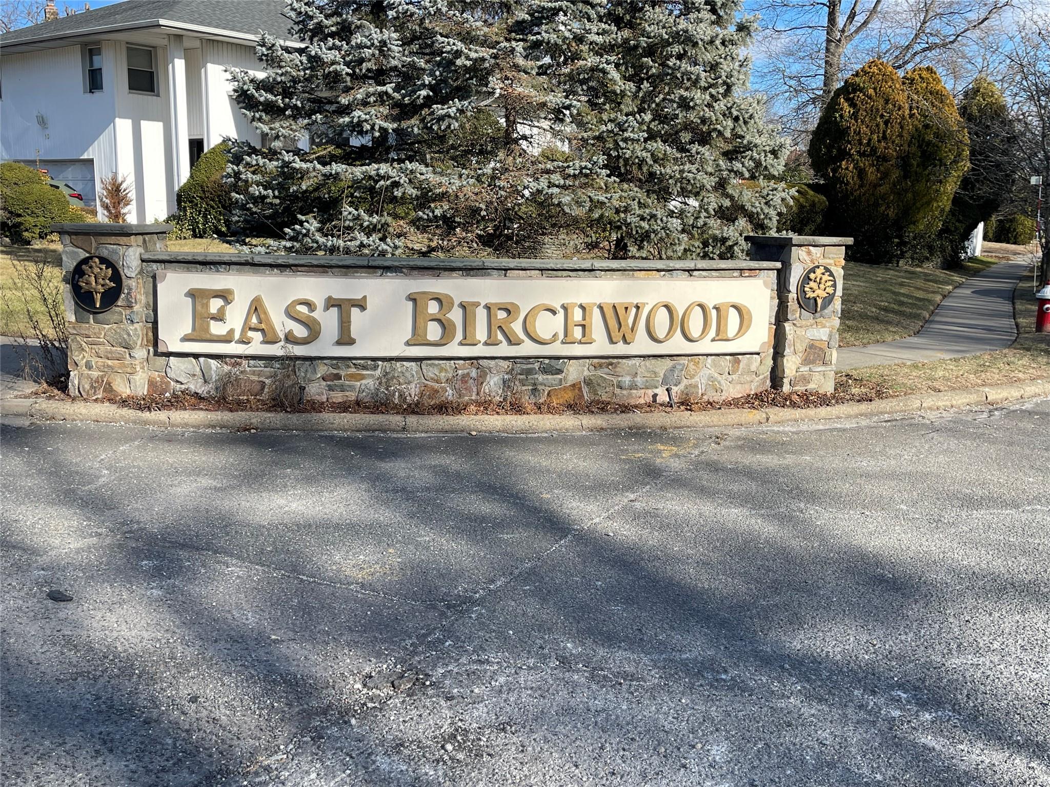 146 Birchwood Park Drive, Jericho, New York image 30