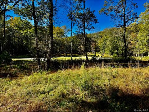 Vacant Land For Sale - 86 Falling Waters Drive<br/> Palenville, NY 12463
