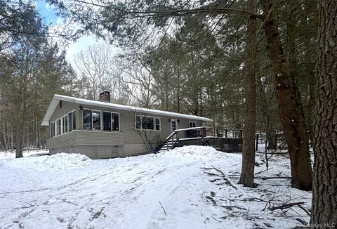 Homes For Sale - 76 Park Lane<br/> Yulan, NY 12792