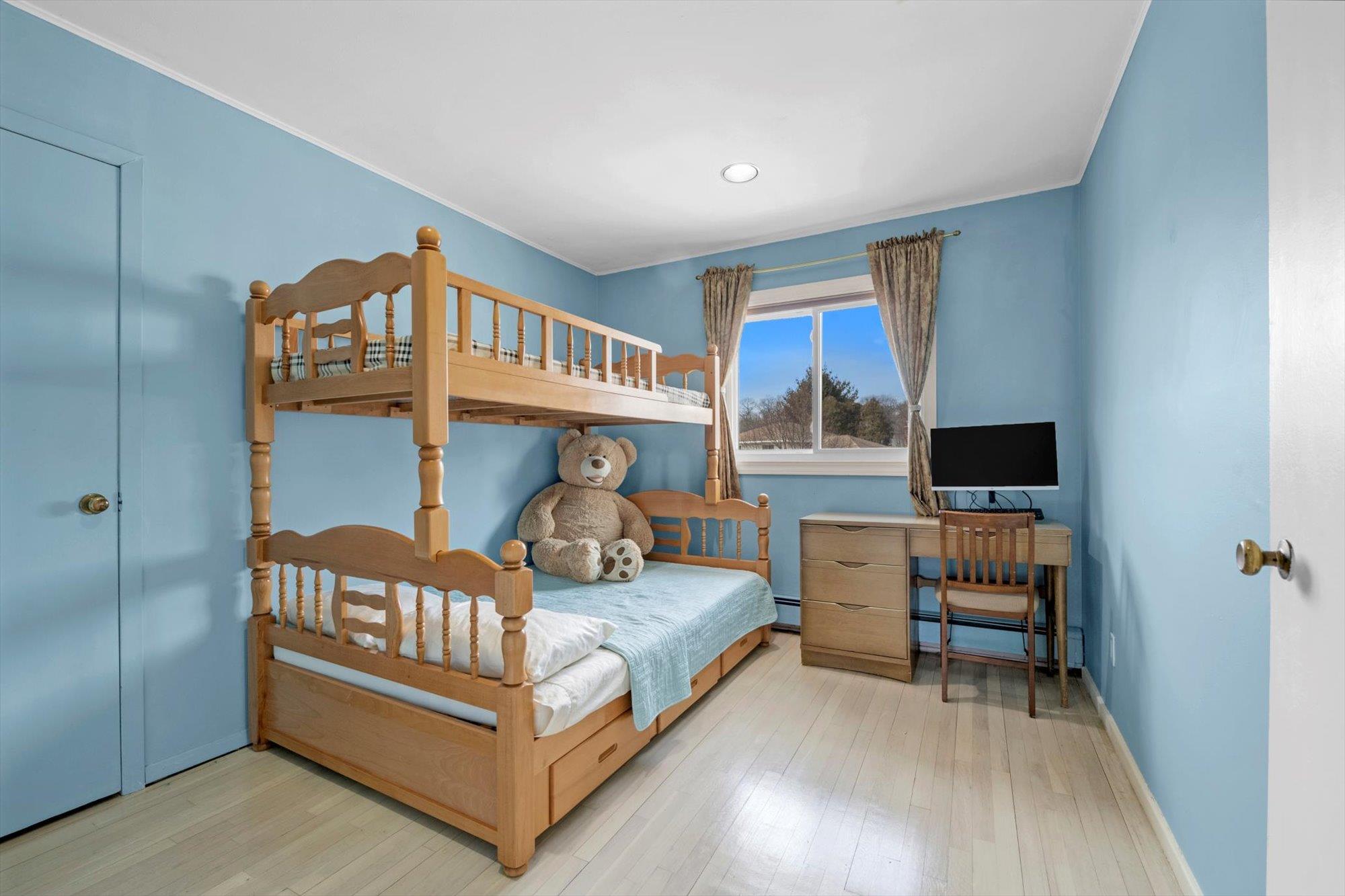 326 White Birch Lane, Jericho, New York image 12
