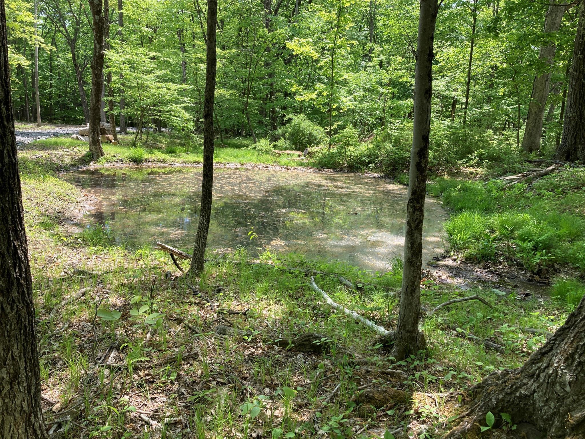 716 Upper Mountain Road