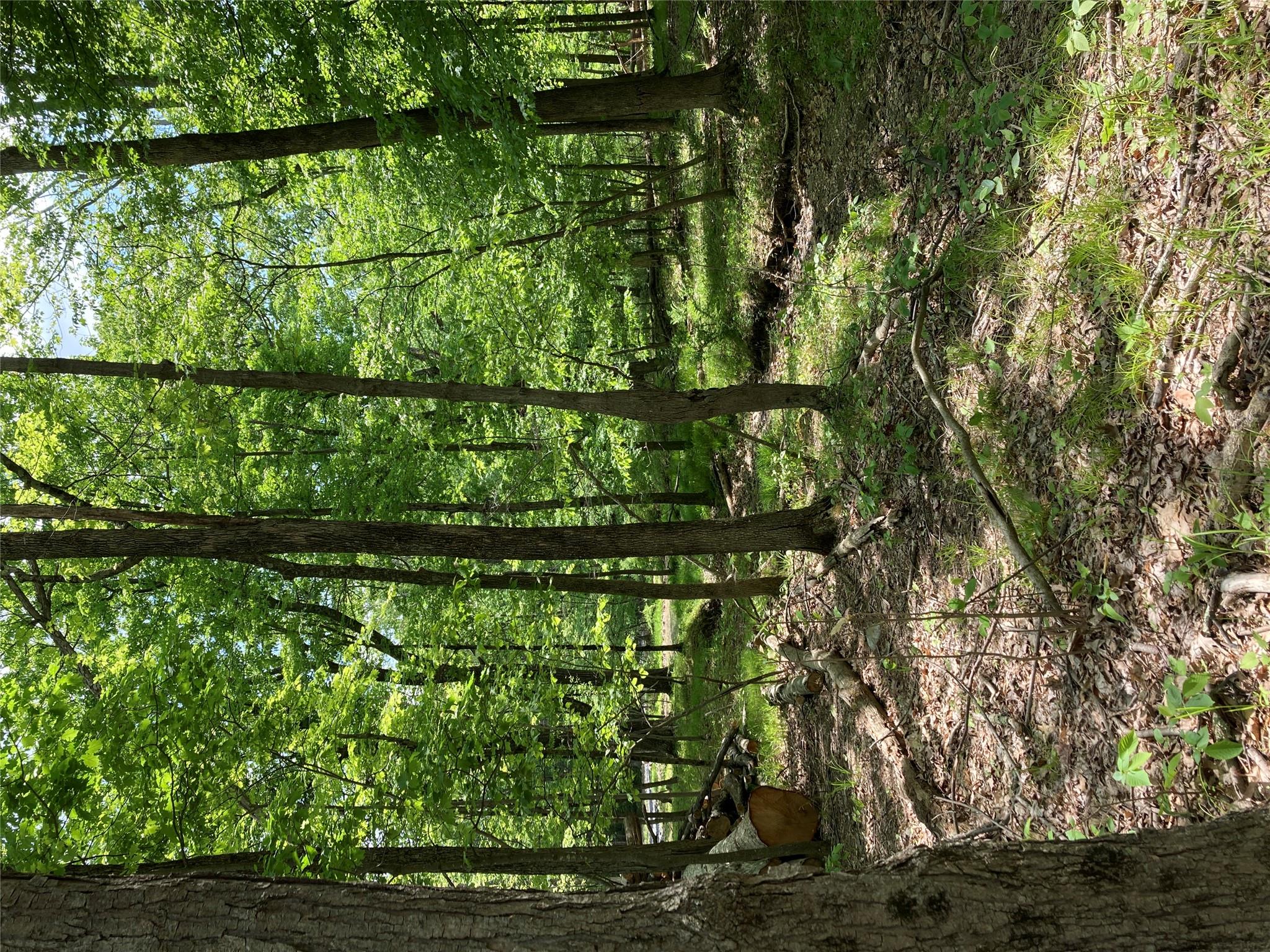 716 Upper Mountain Road