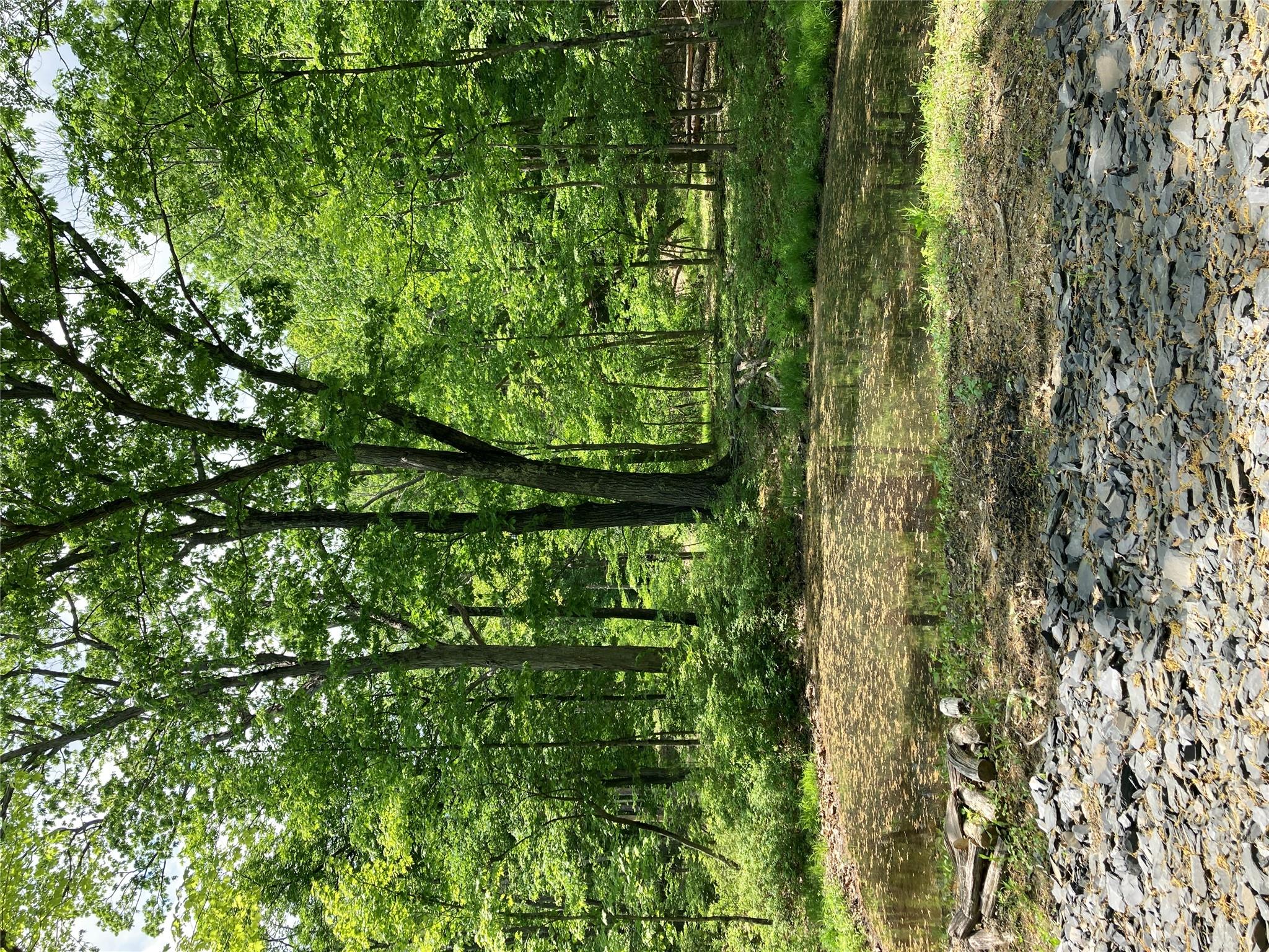 716 Upper Mountain Road