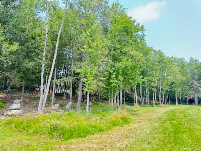235 Cantrell Road