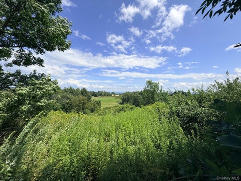 Vacant Land For Sale - 26 Quaker Hill Road<br/> Milton, NY 12547