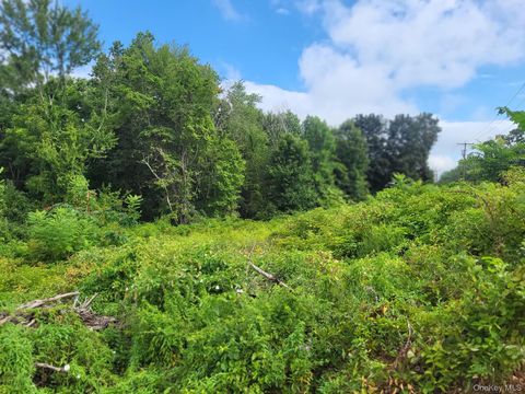 Vacant Land For Sale - W NYS RTE 208 HIGHWAY (bona Ventura) Avenue<br/> Wallkill, NY 12589