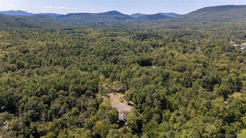 20 Country Club Lane Woodstock NY 12498