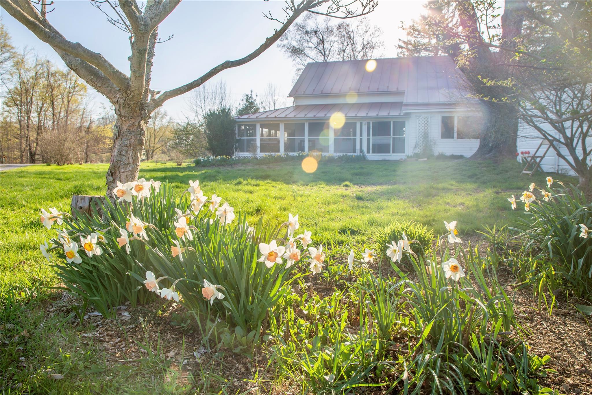 252 Nevis Road, Tivoli, New York image 45