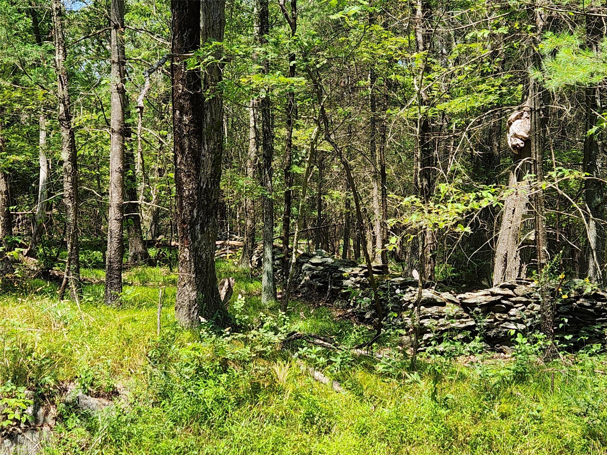 Schultz Hill Road, Staatsburg, New York image 8