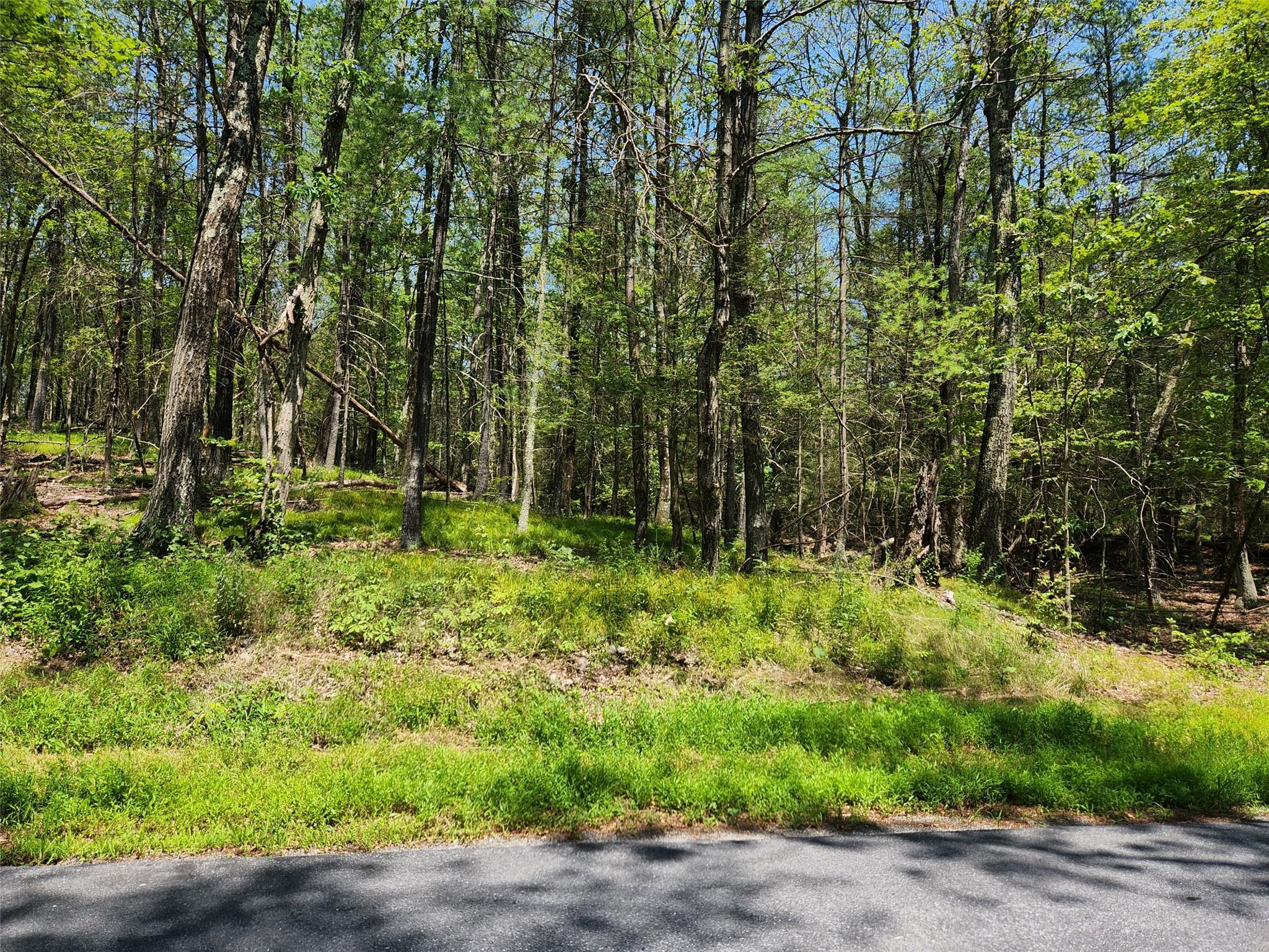 Schultz Hill Road, Staatsburg, New York image 6