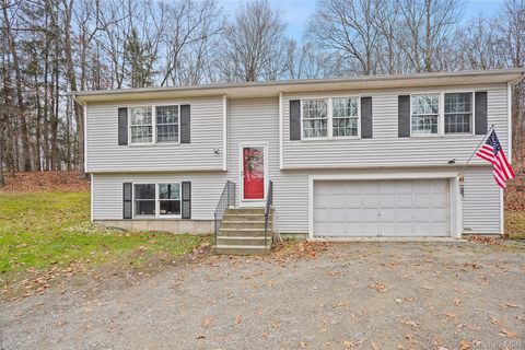 272 Van Wyck Lake Road Fishkill NY 12524