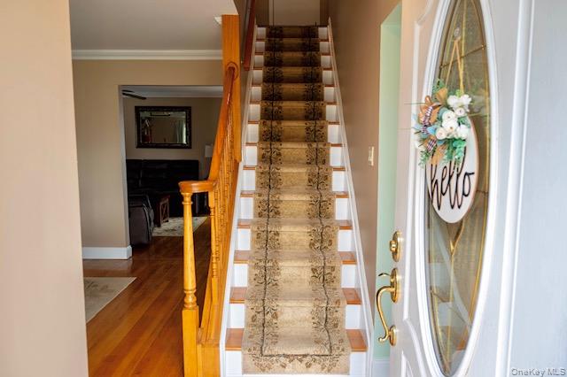 7 Cornell Avenue