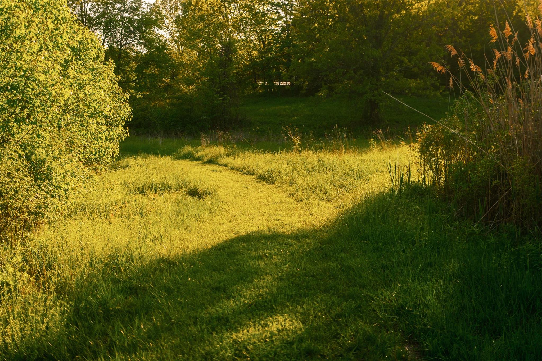 TBD Lot #1 Route 308, Rhinebeck, New York image 6