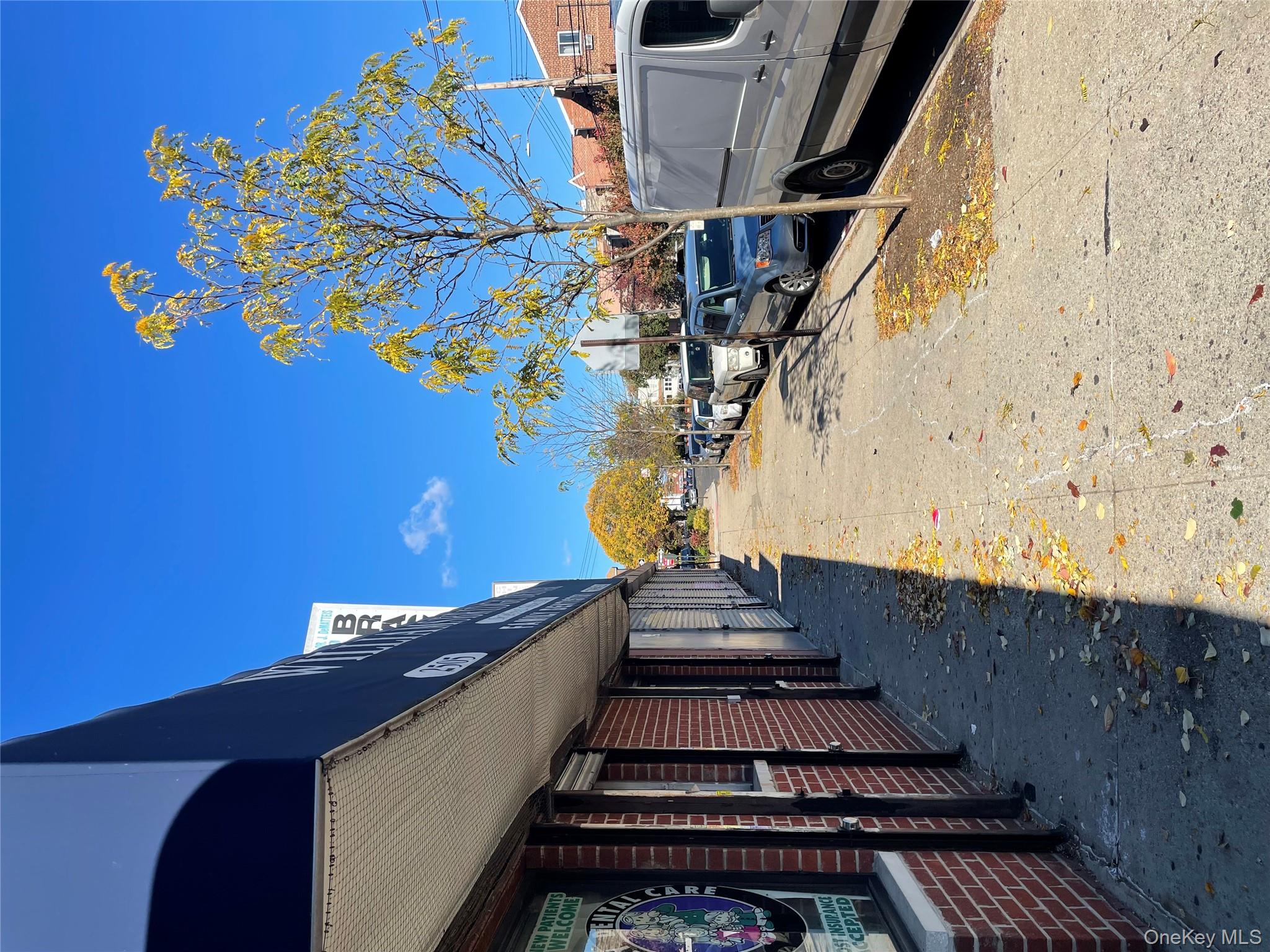 2509 Williamsbridge Road