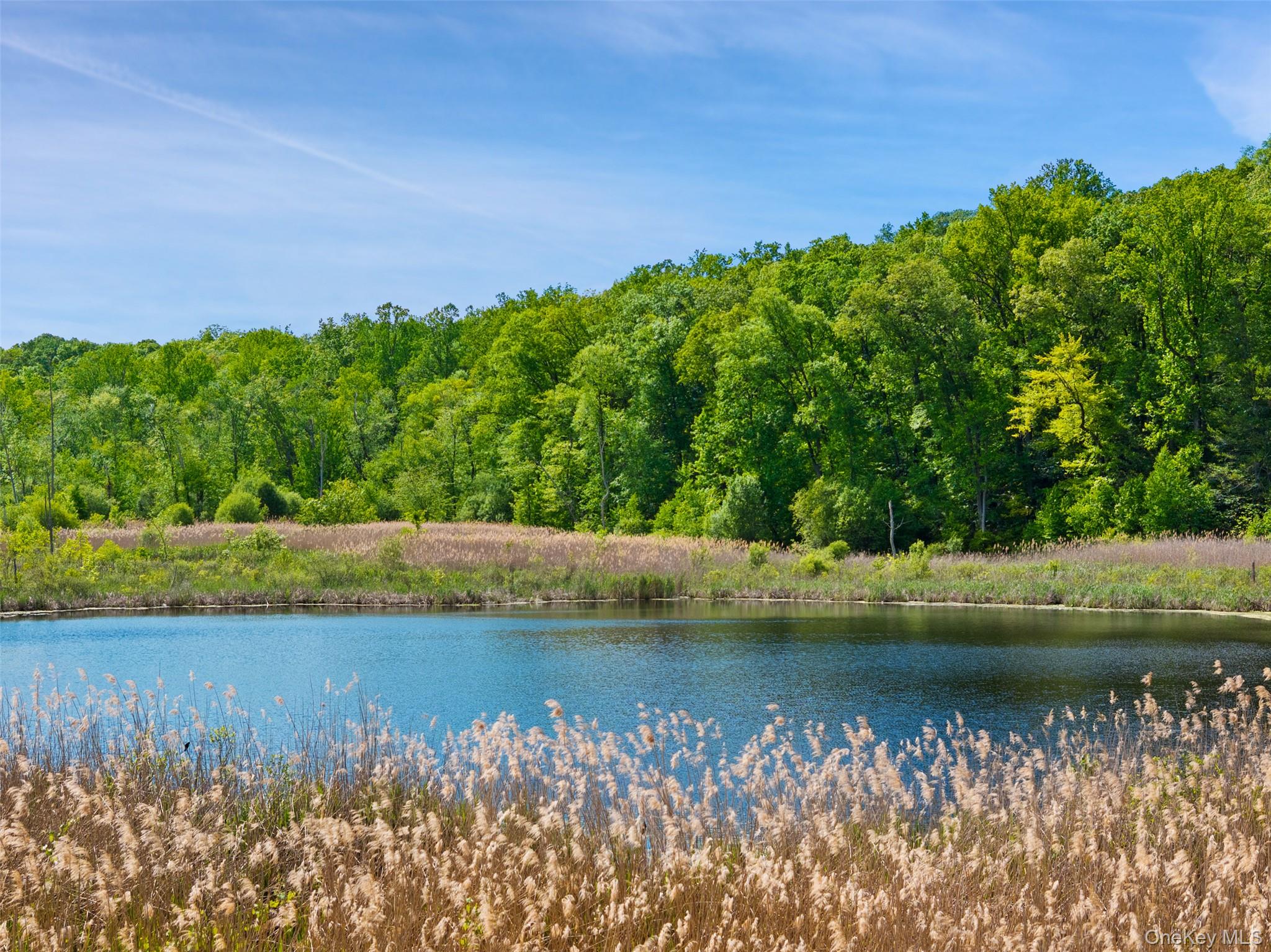 258 Hardscrabble Road