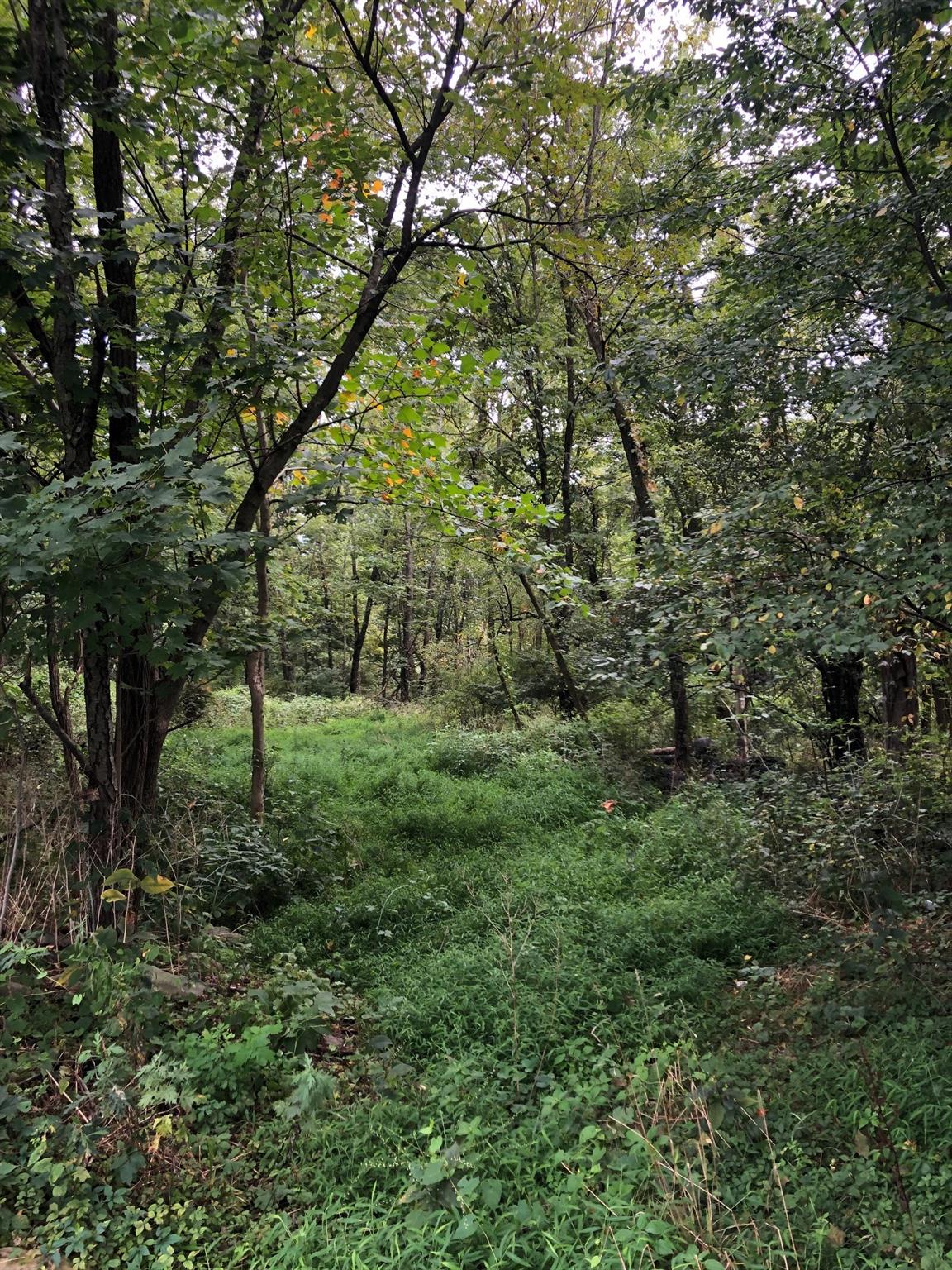 Gardnertown, Newburgh, New York image 4