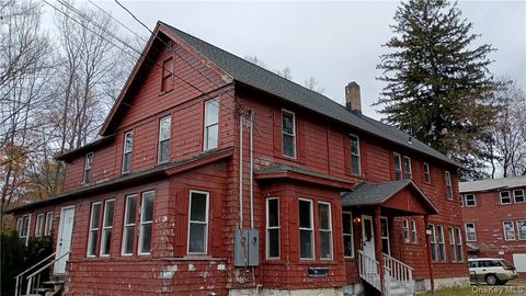 10 Church Avenue 7 Roscoe NY 12776