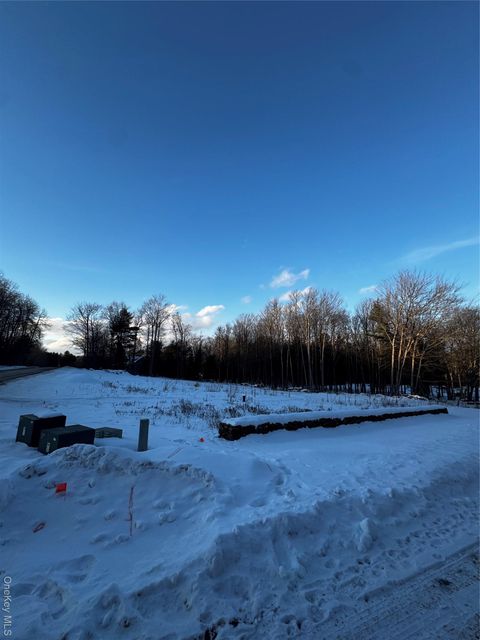 Vacant Land For Sale - 000 Drake Road<br/> Neversink, NY 12765