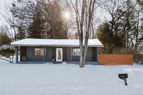 Homes For Sale - 33 4th Street<br/> Narrowsburg, NY 12764