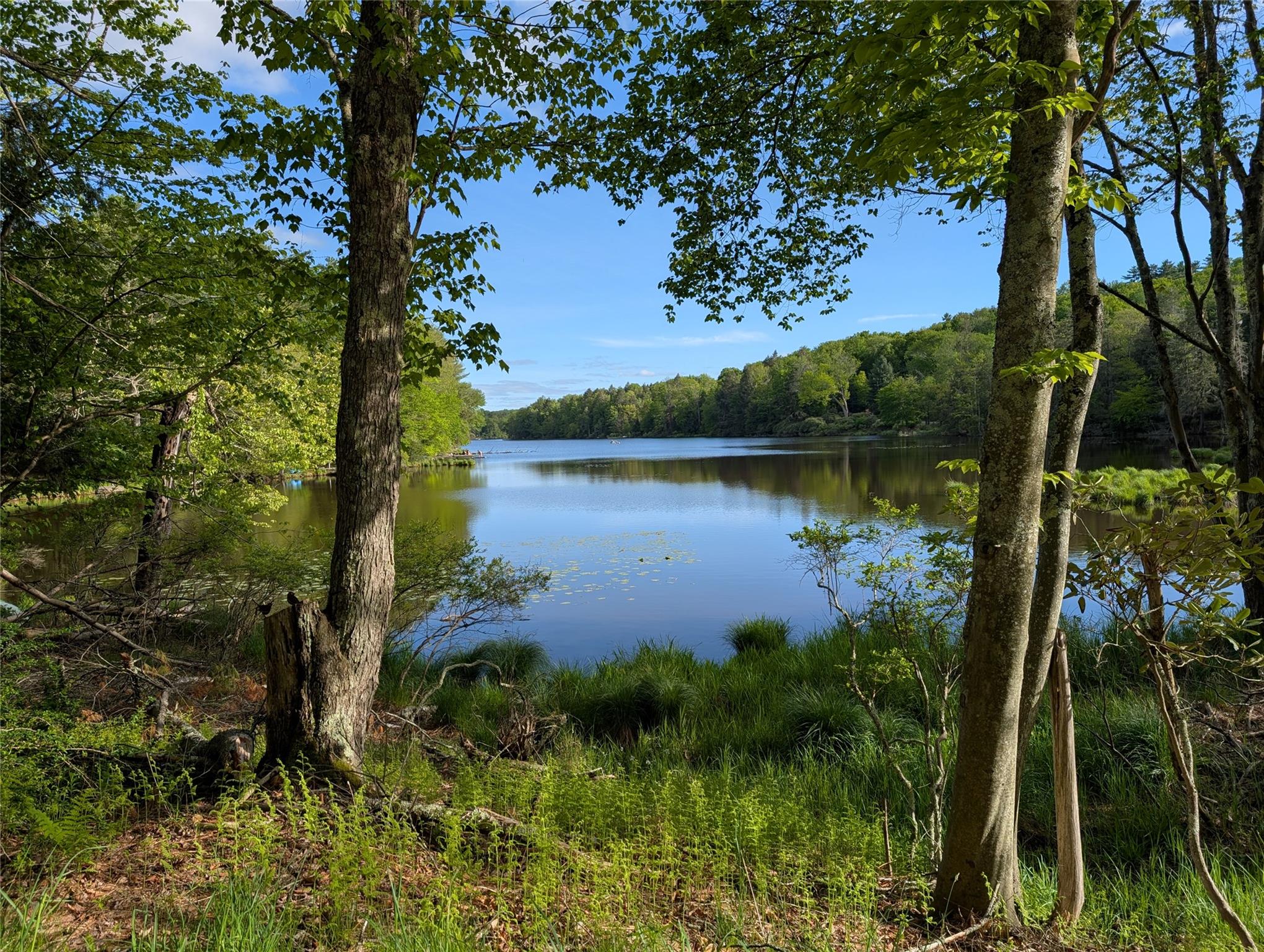 11 W Mongaup Trail, Smallwood, New York image 33