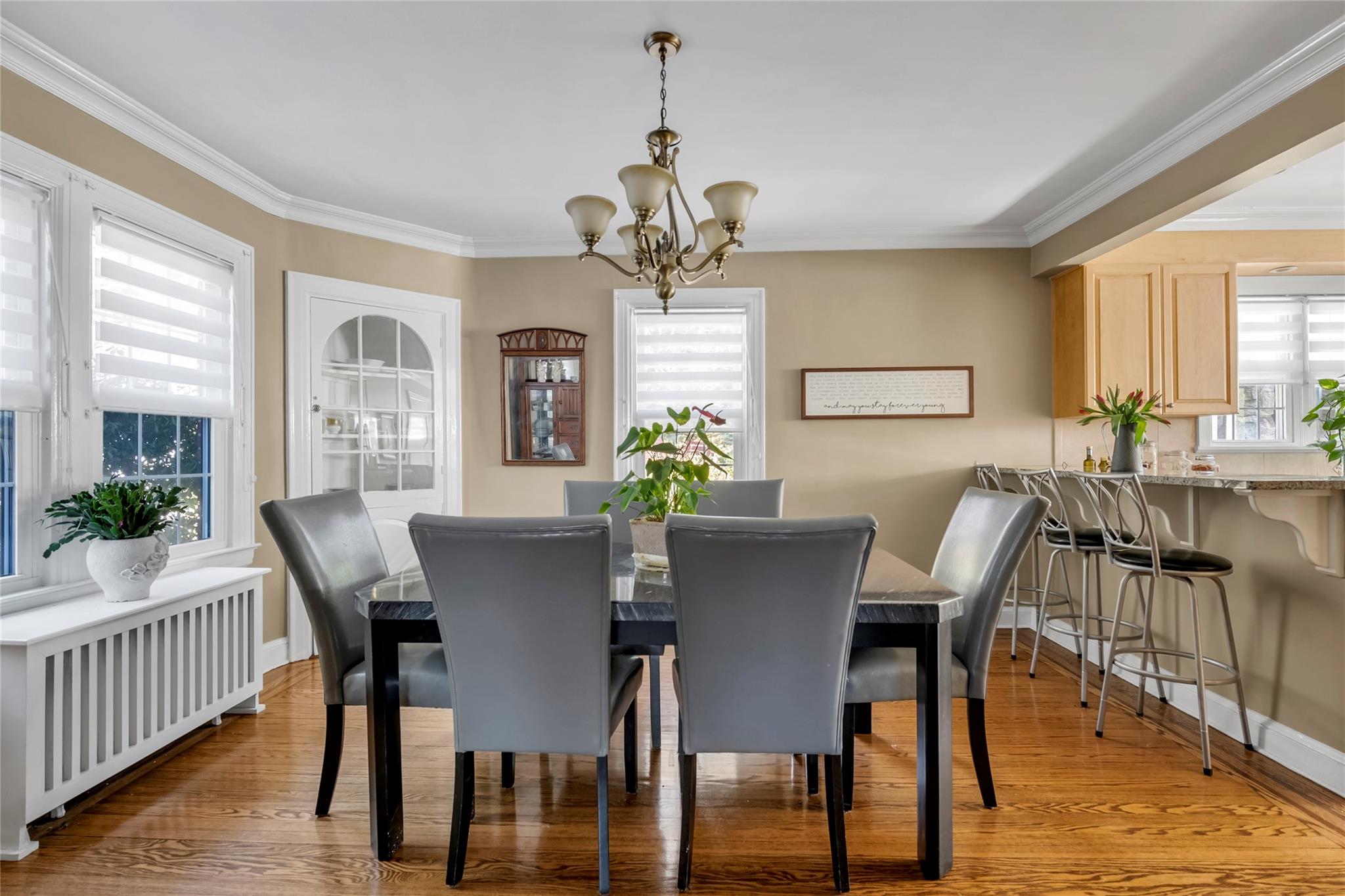 24 Meadow Drive, Port Washington, New York image 12