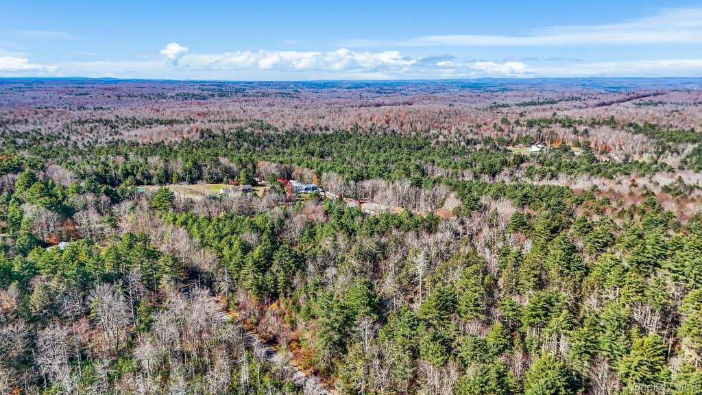 Photo of 98 Mongaup Road, Monticello, NY 12701 (MLS # 825339)