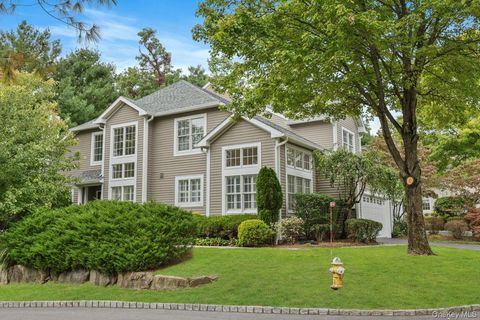 7 Caruso Place Armonk NY 10504