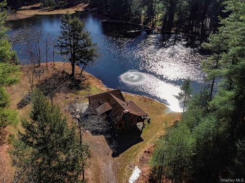 Homes For Sale - 56 Beaver Brook Road<br/> Yulan, NY 12792