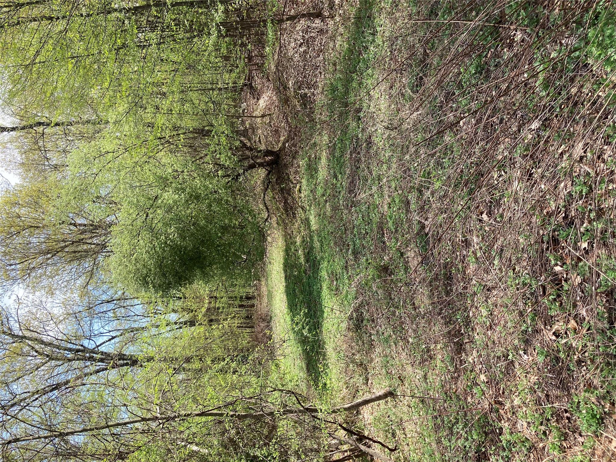 Canterbury Drive, Newburgh, New York image 2