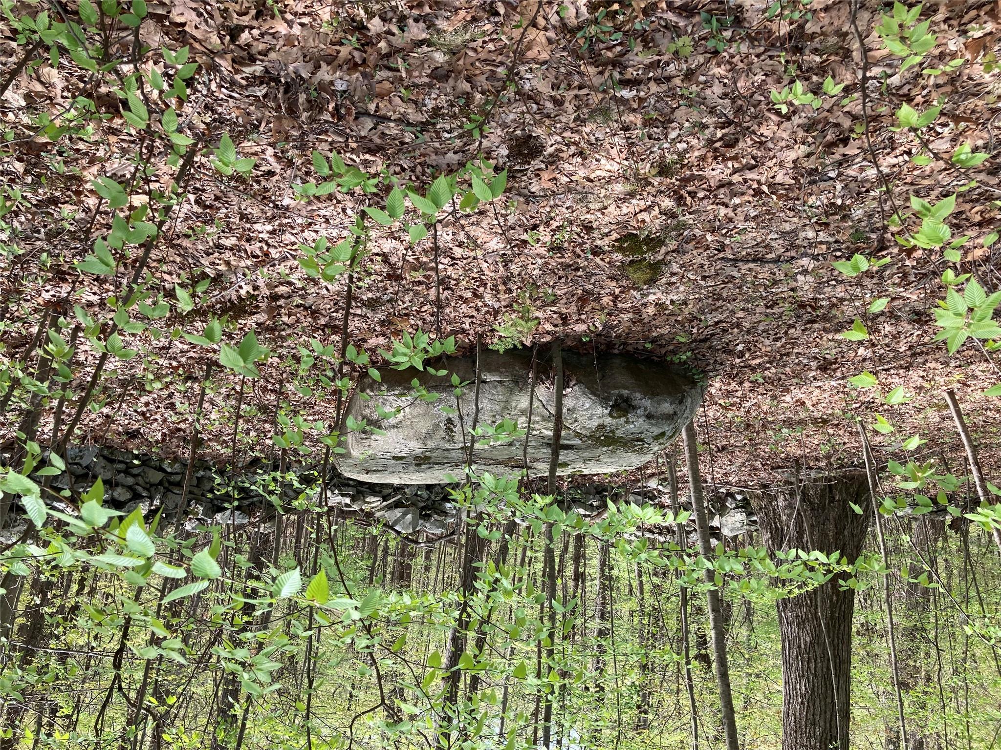 Canterbury Drive, Newburgh, New York image 6