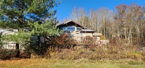 Homes For Sale - 371 Kelly Bridge Road #373<br/> Swan Lake, NY 12783