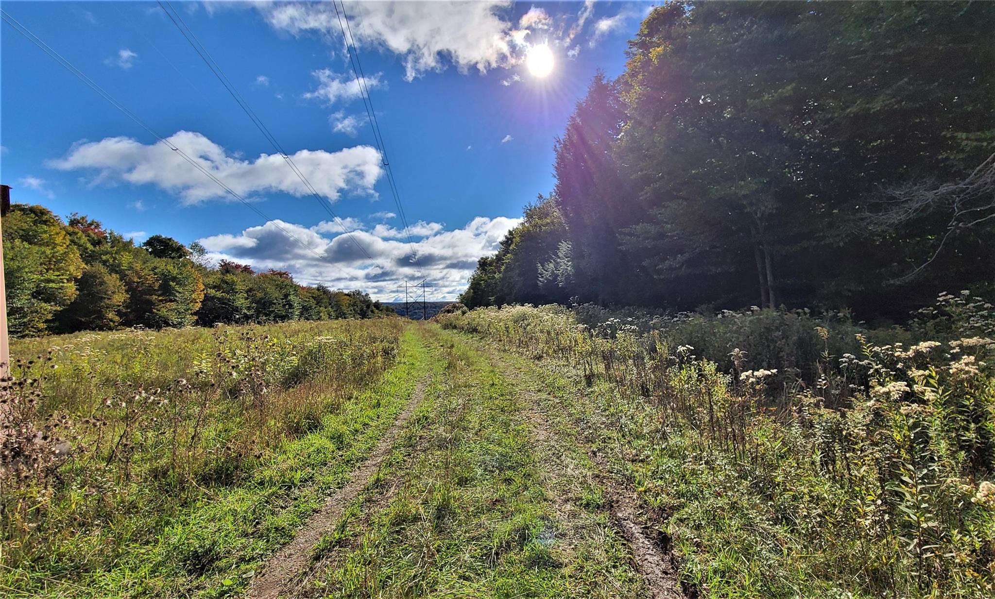 68 Schleiermacher Road, Livingston Manor, New York image 29