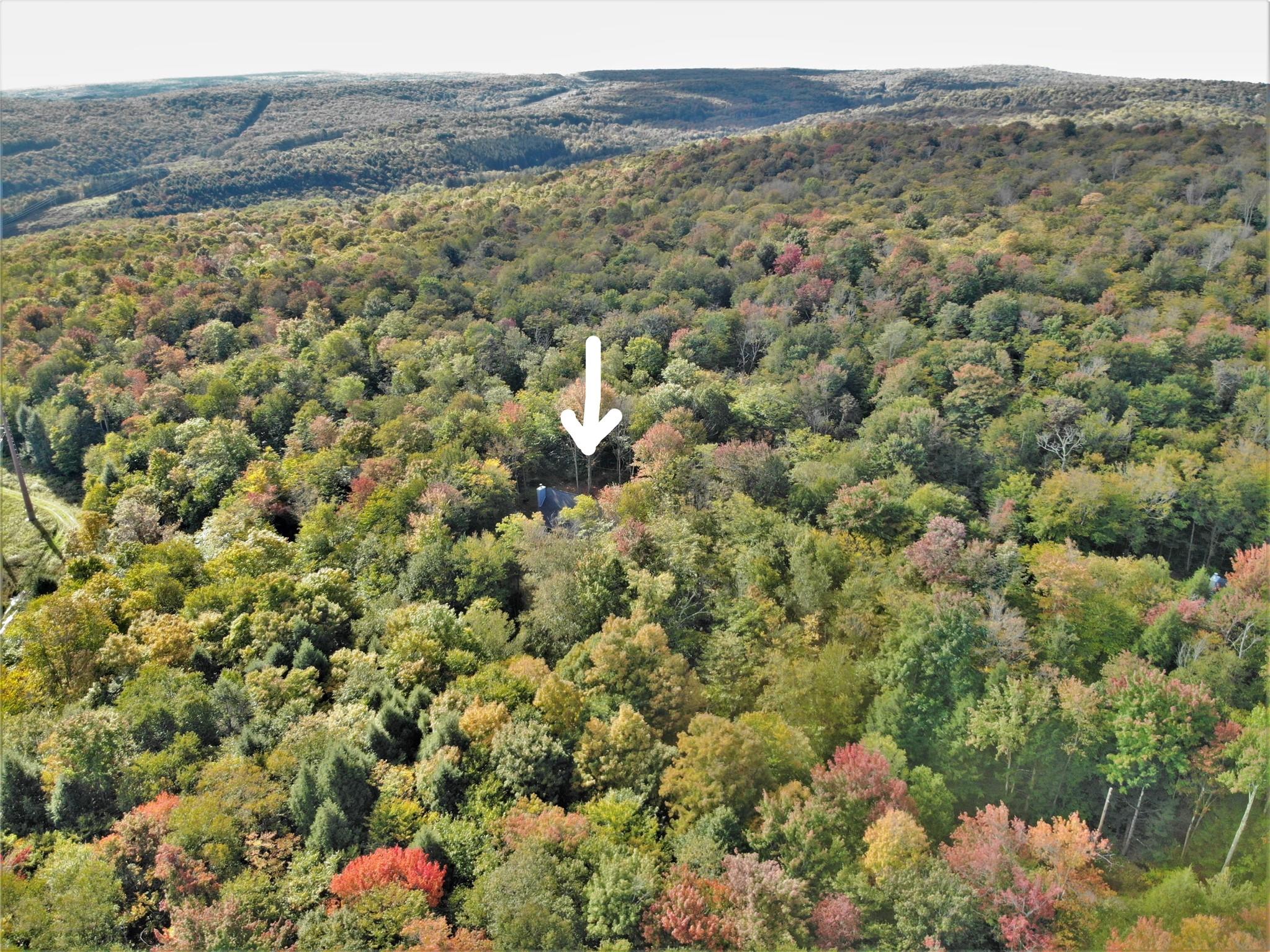 68 Schleiermacher Road, Livingston Manor, New York image 30