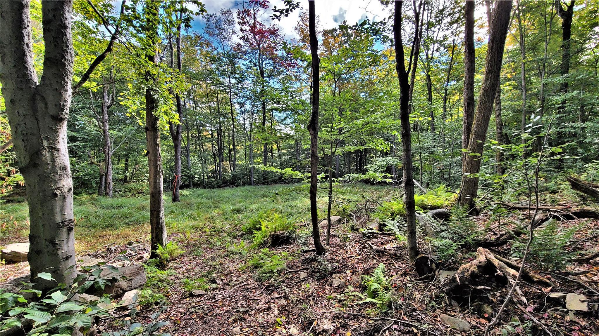 68 Schleiermacher Road, Livingston Manor, New York image 34