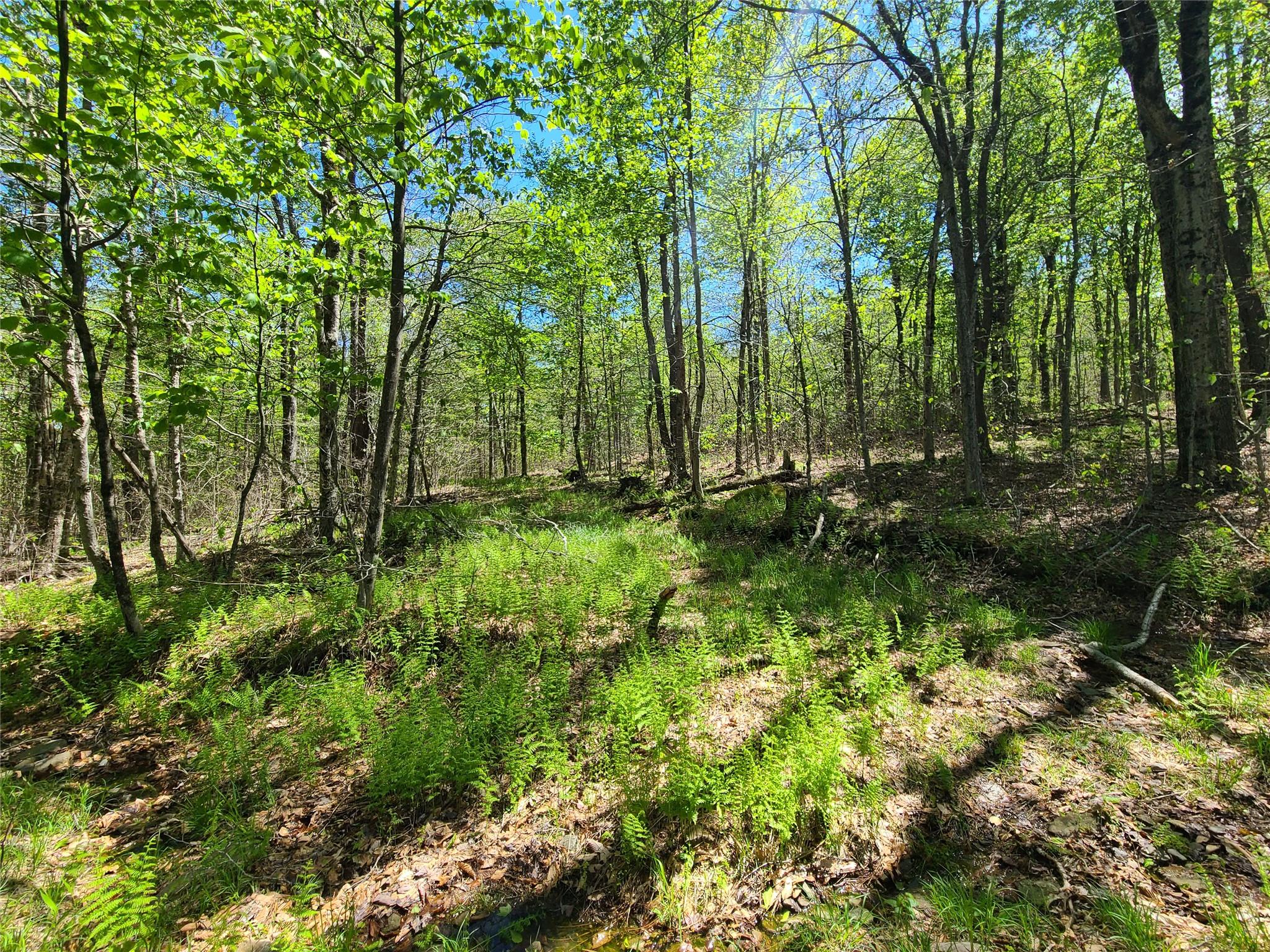 68 Schleiermacher Road, Livingston Manor, New York image 33