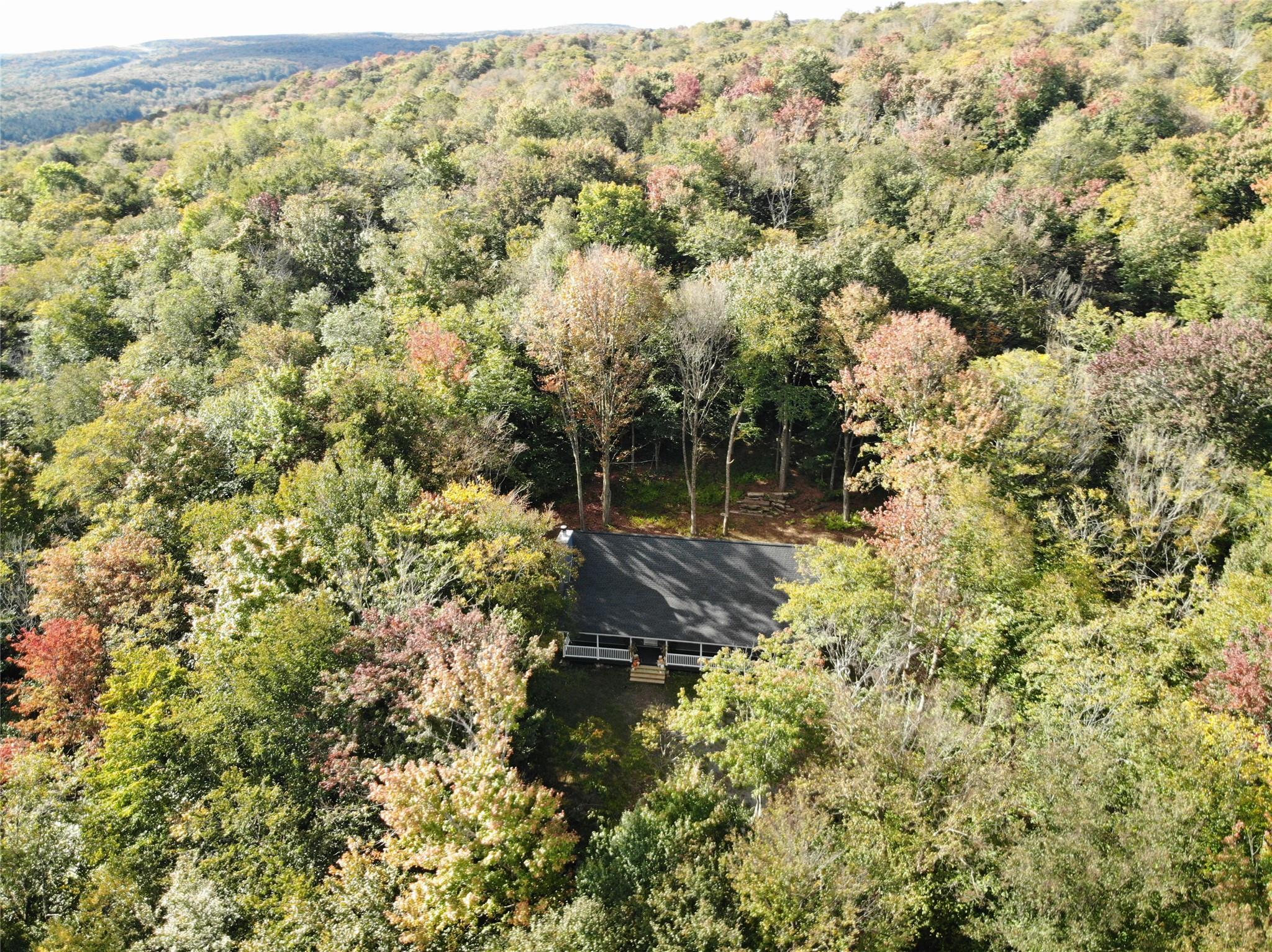 68 Schleiermacher Road, Livingston Manor, New York image 31